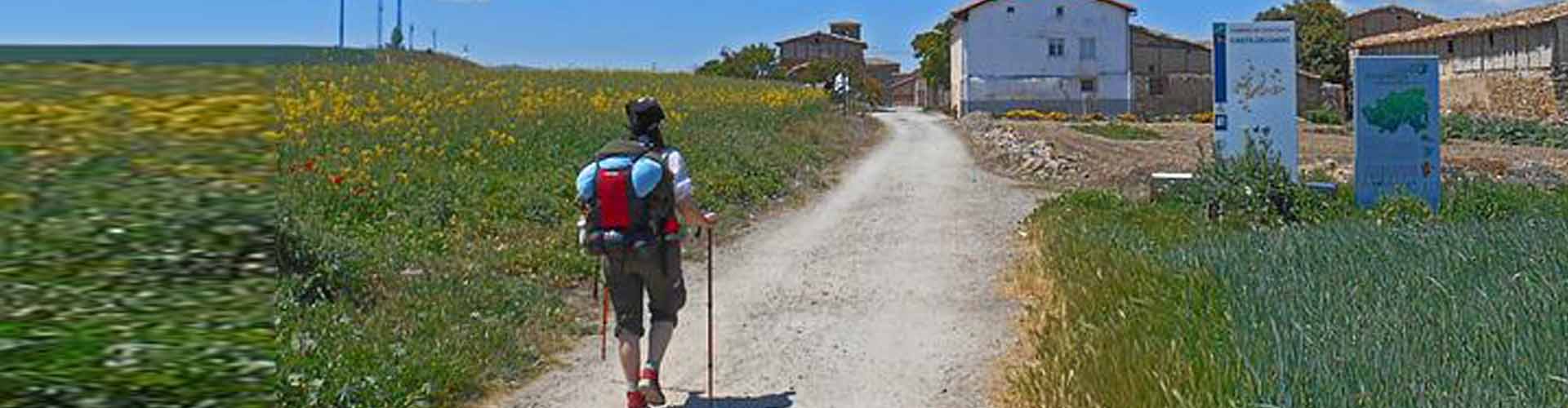 Fulfil the Camino Trail