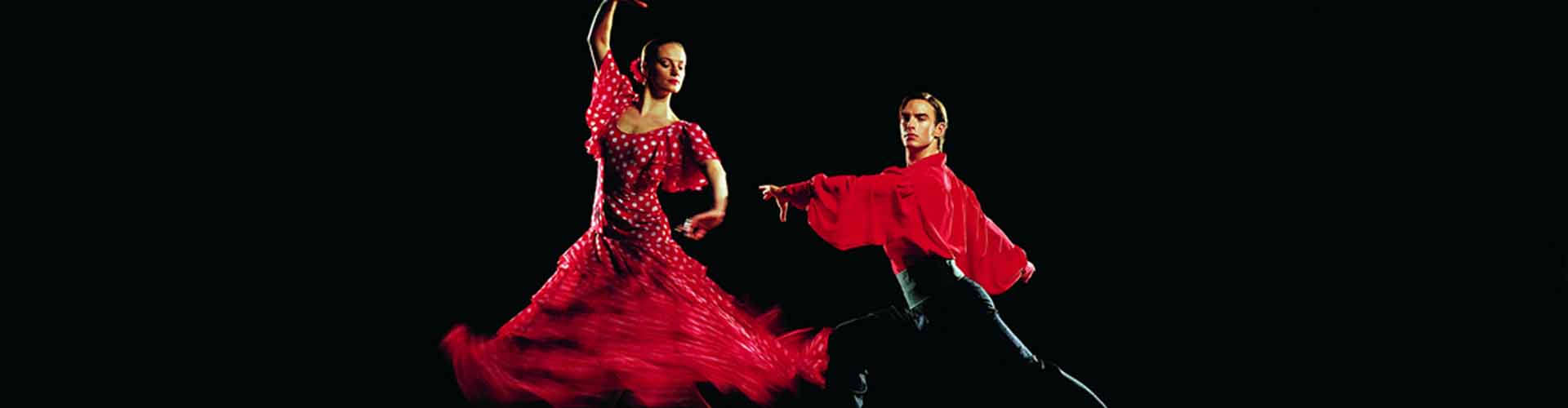Learn the Flamenco Dance, or see it live on stage